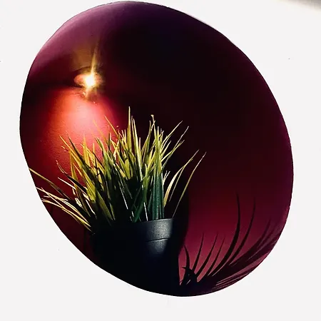 La Belle Adresse * 디종