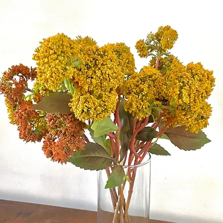 아파트 La Belle Adresse