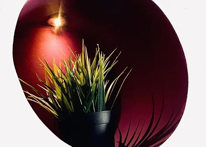 La Belle Adresse * Dijon